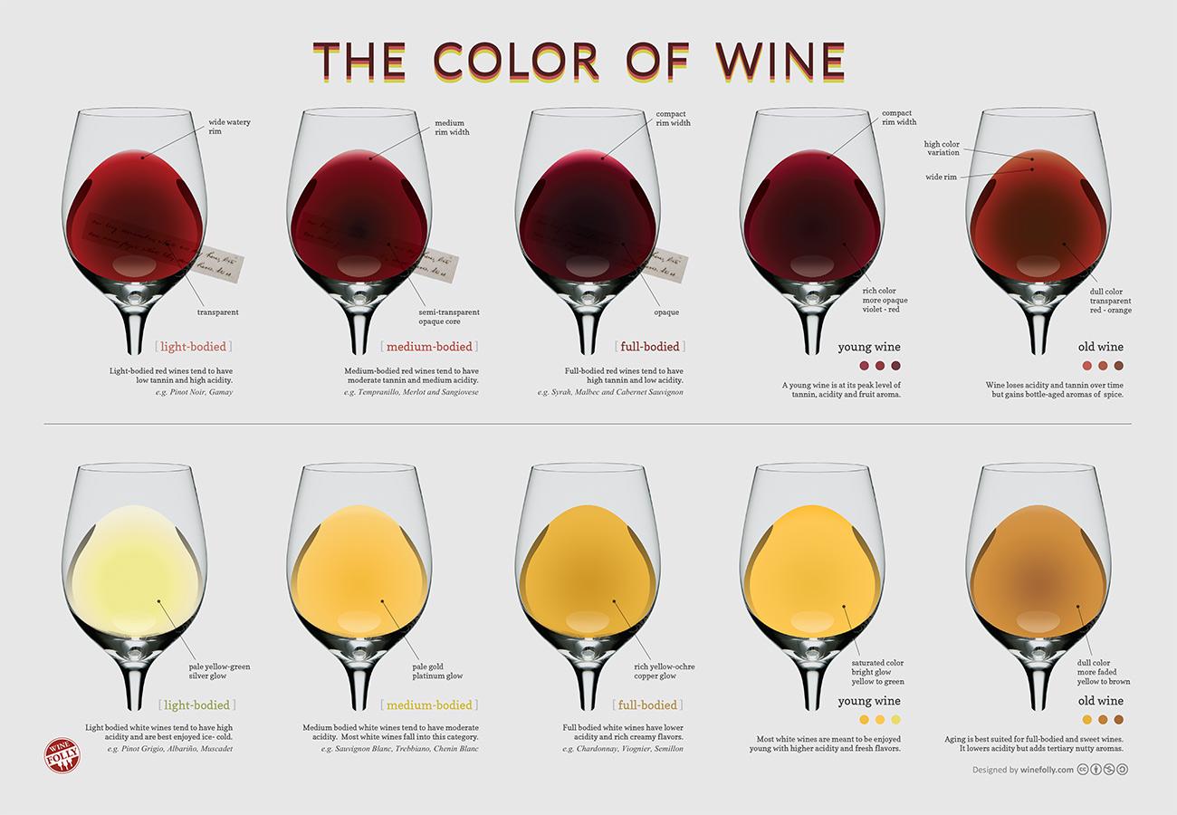 wine color chart1